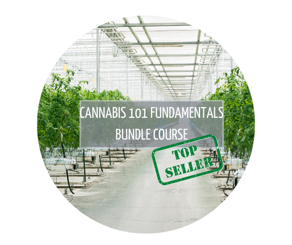 Cannabis 101 Fundamentals Bundle Course