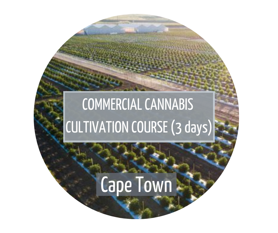 Commercial Cannabis Cultivation Cape Town