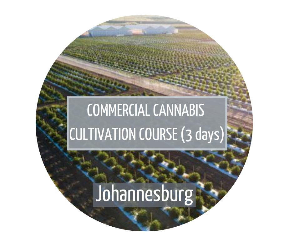 Commercial Cannabis Cultivation Johannesburg
