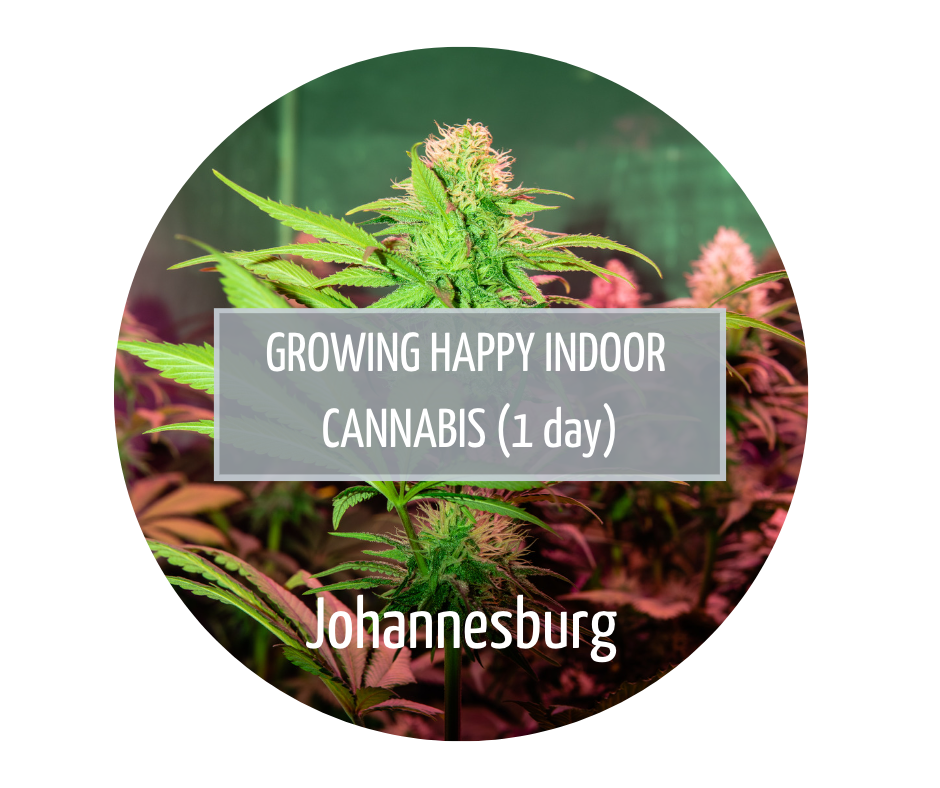 Growing Happy Indoor Cannabis - Johannesburg