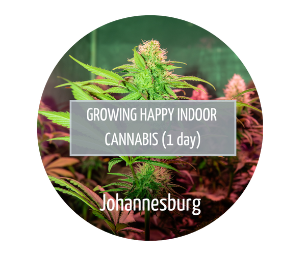 Growing Happy Indoor Cannabis - Johannesburg