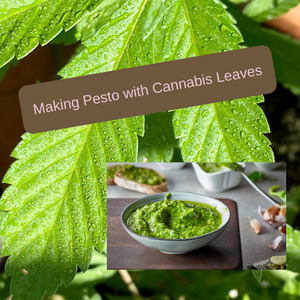 Making Pesto with Cannabis Leaves (video)