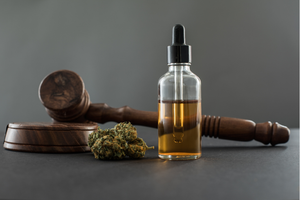Is Cannabis Oil Legal in South Africa?
