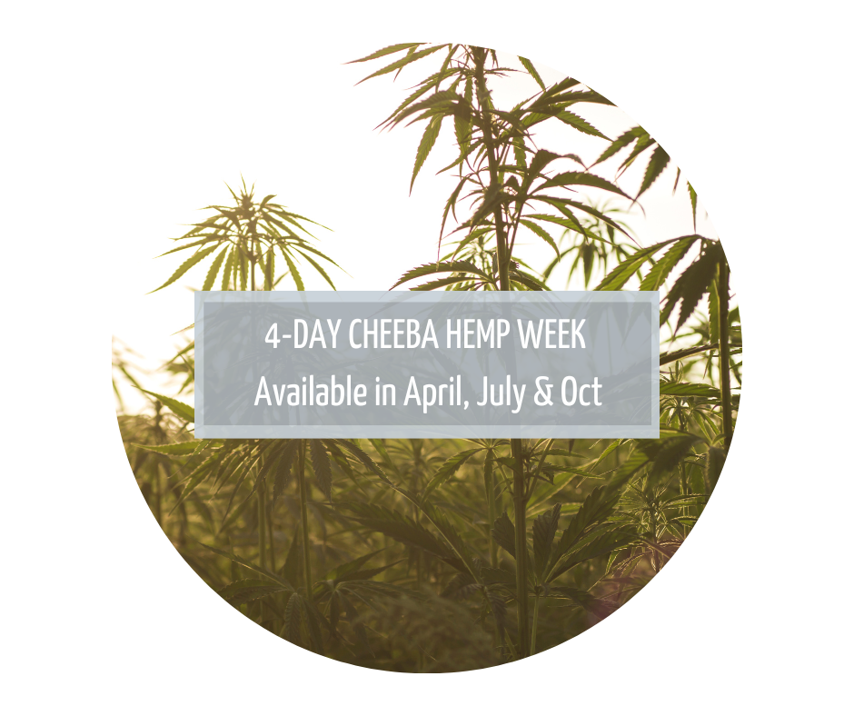 Cheeba Hemp Week