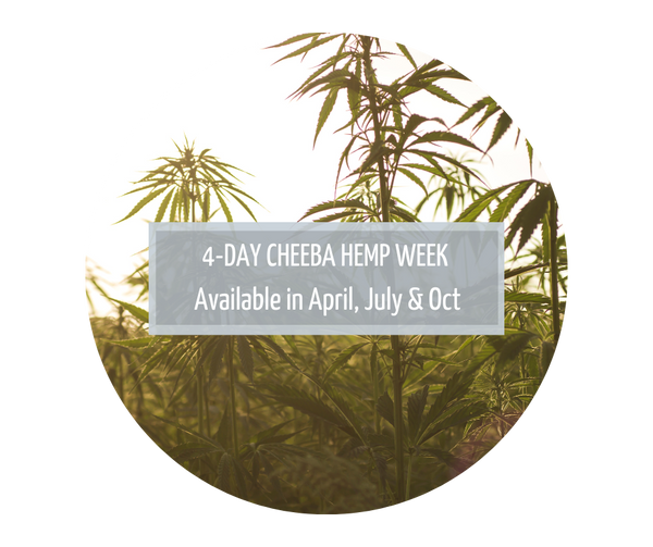 Cheeba Hemp Week