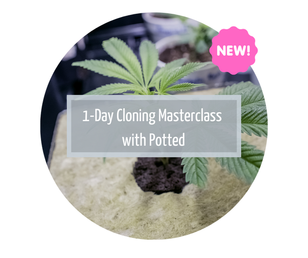 1-Day Cloning Masterclass with Potted