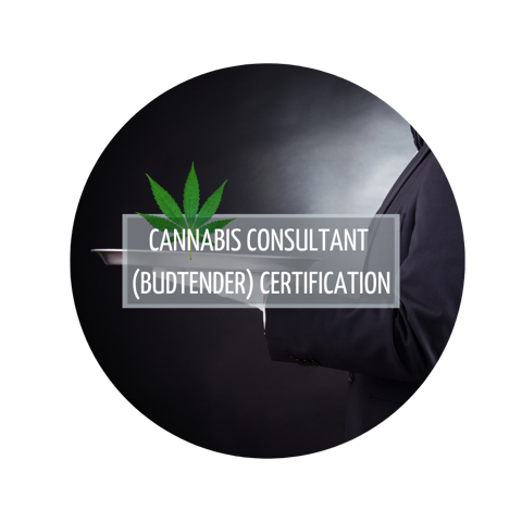 Cannabis Consultant Budtender Certification