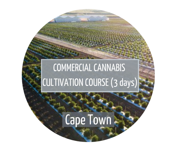 Commercial Cannabis Cultivation Cape Town