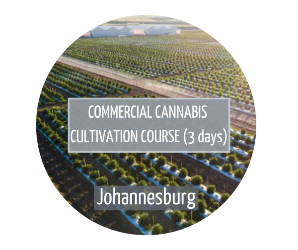 Commercial Cannabis Cultivation Johannesburg