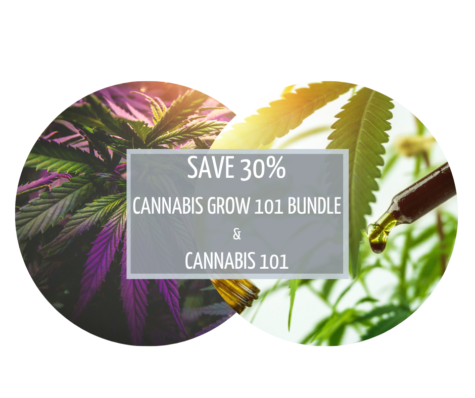 Cannabis Grow 101 Course