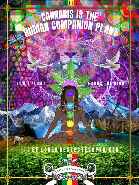 Cannabis is the Human Companion Plant - Signed by Author