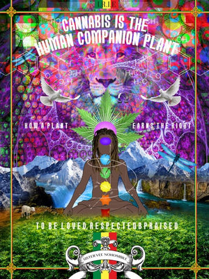 Cannabis is the Human Companion Plant - Signed by Author