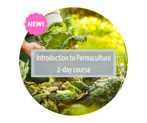 Introduction to Permaculture 2-day course