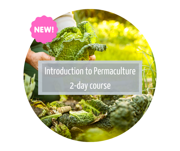 Introduction to Permaculture 2-day course