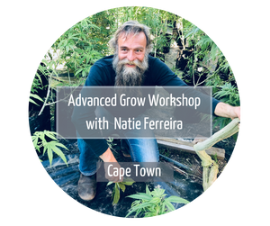 Advanced grow workshop Cape town