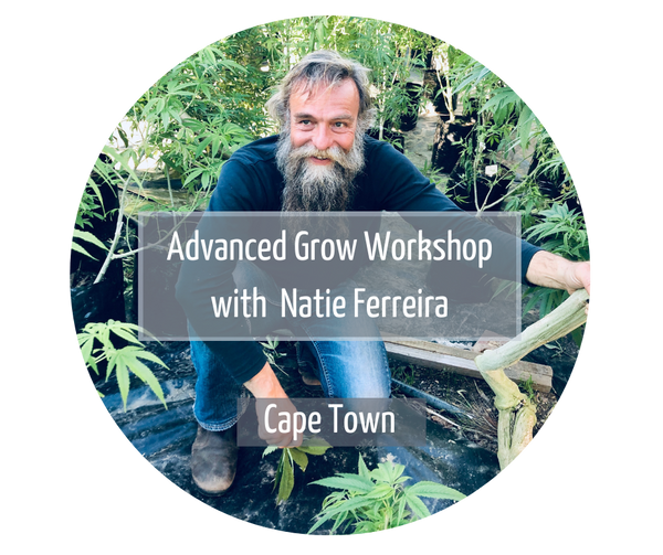 Advanced grow workshop Cape town